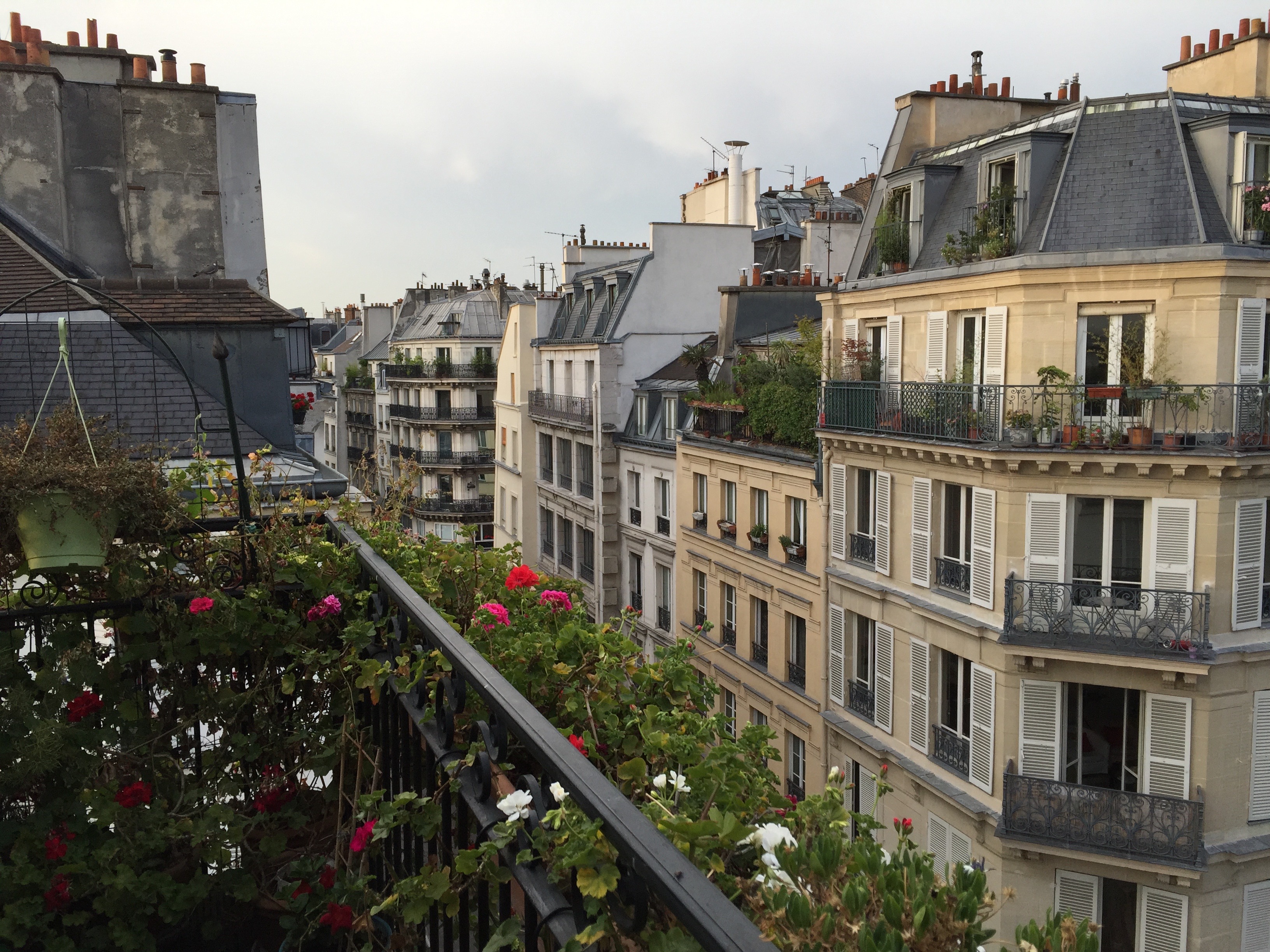Top 5 Reasons Everyone Must Visit Paris - Hartmans Travel